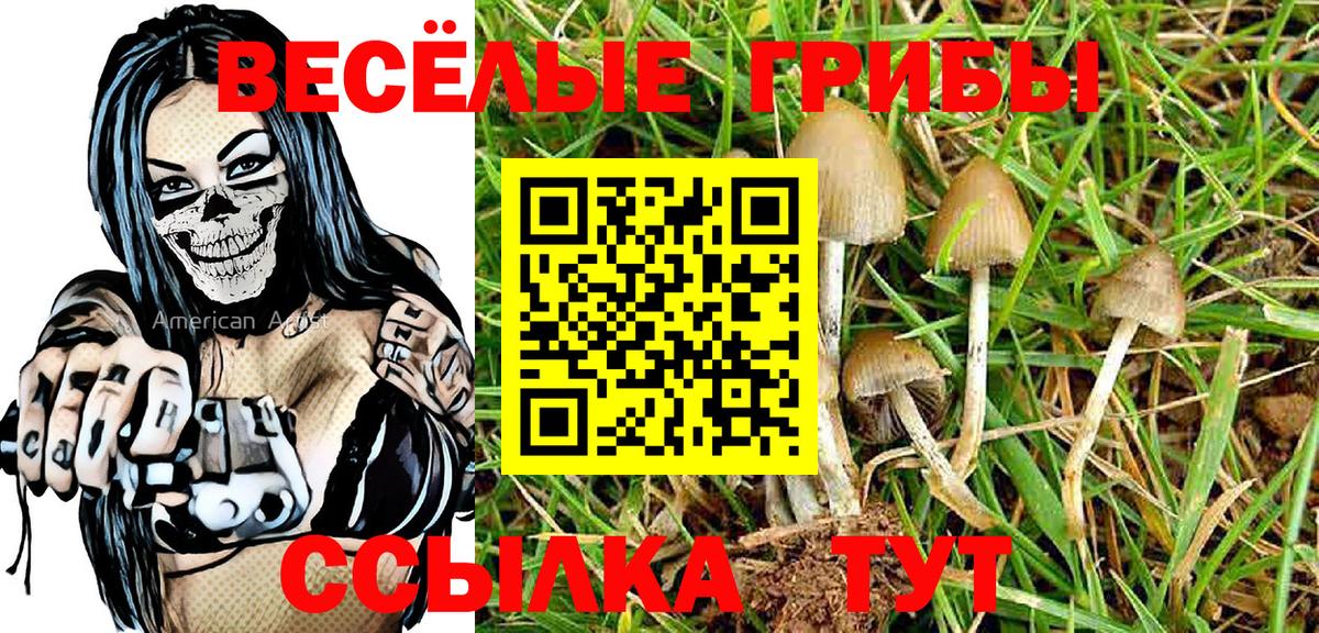 Псилоцибиновые грибы MAGIC MUSHROOMS Качканар