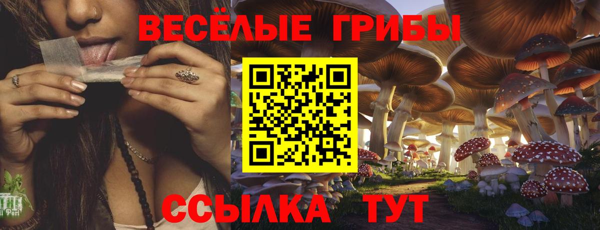 Качканар  Галлюциногенные грибы прущие грибы  Вход с VPN 